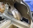 Tesla MODEL 3 2020 Cuarto cuerpo del coche Right Rear - Thumbnail 3